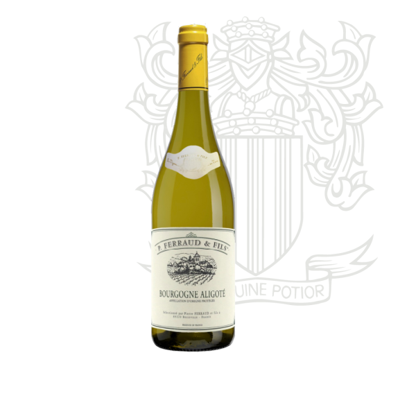 Bourgogne - Aligoté
