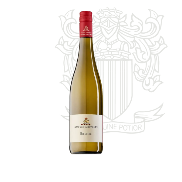 Riesling Schloss Hallburg Trocken