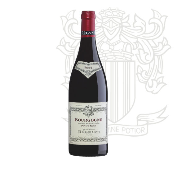 Bourgogne Aoc Pinot noir