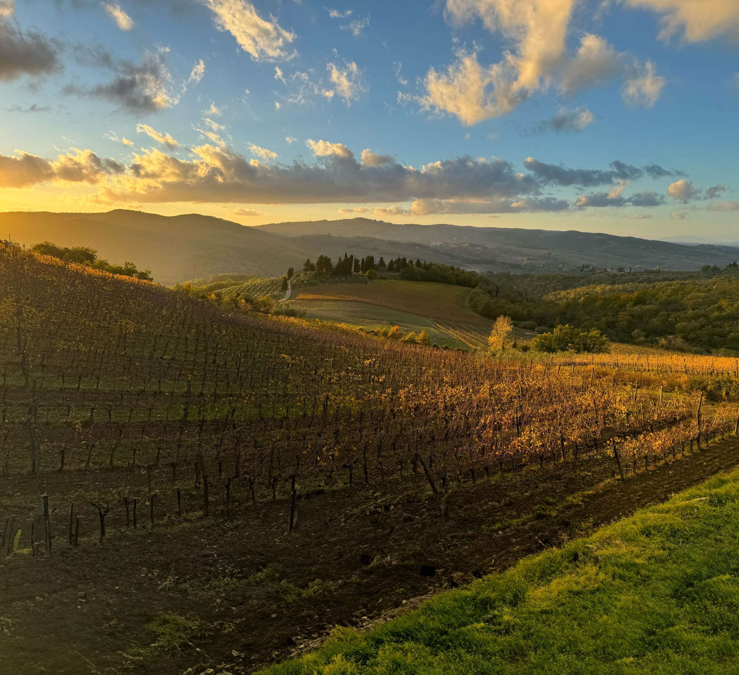 Querciabella