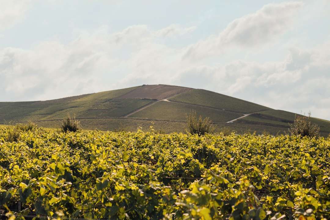 Théophile