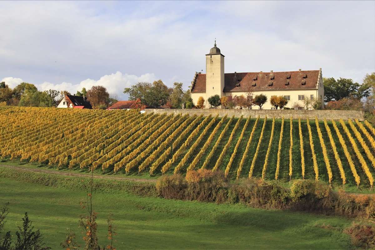 Schloss Schönborn