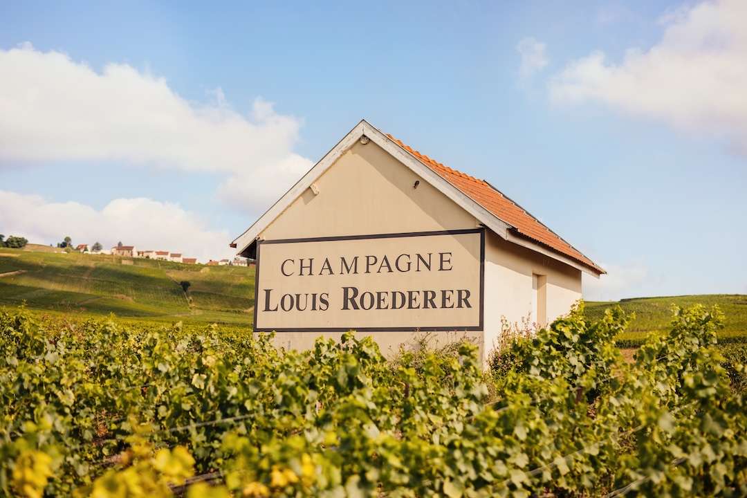 Louis Roederer