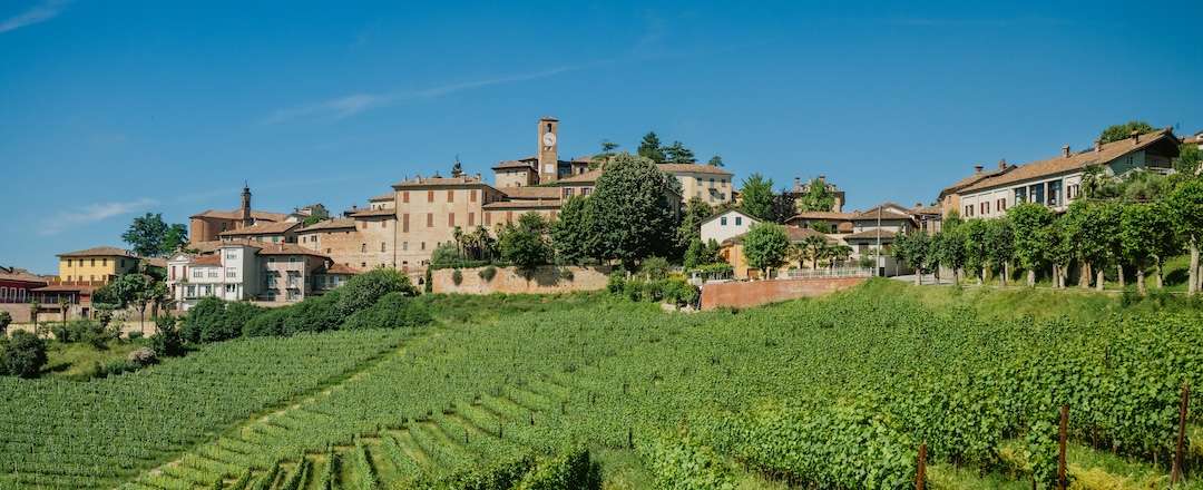 Castello di Neive