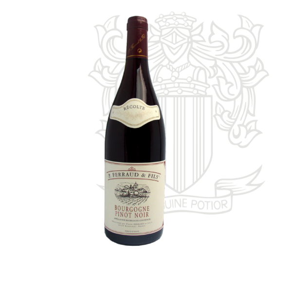 Bourgogne Pinot Noir