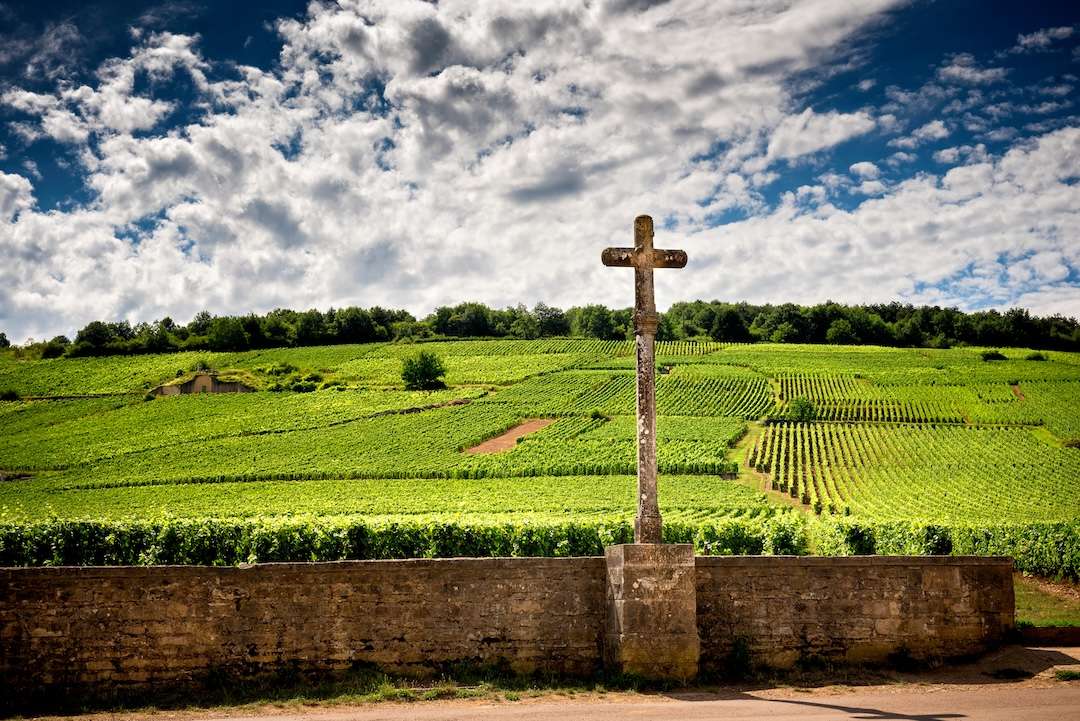 Domaine de La Romanée-Conti