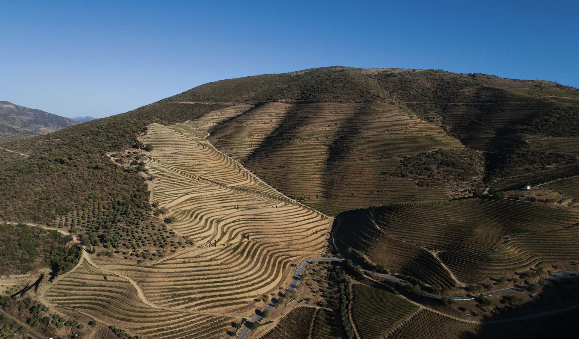 Quinta do Vesuvio
